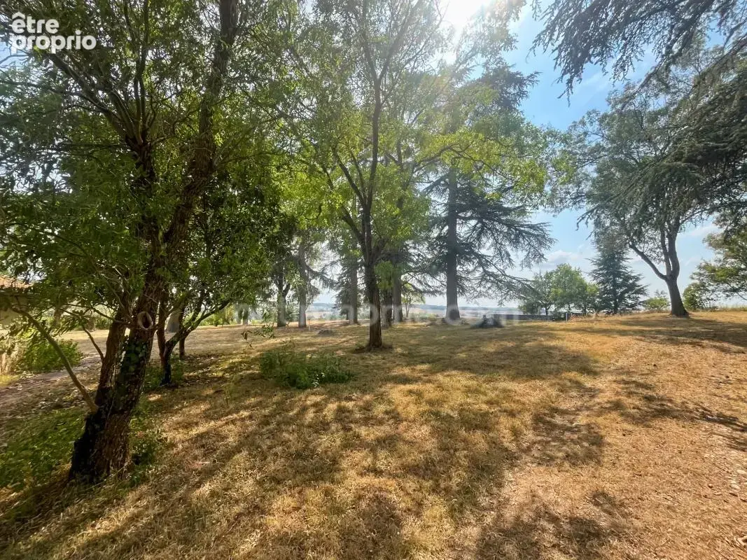 Propriete d'exception avec 8 hectares, 2 lacs - vue imprenable sur les pyrenes - castera vaerduzan (32) - photo 17