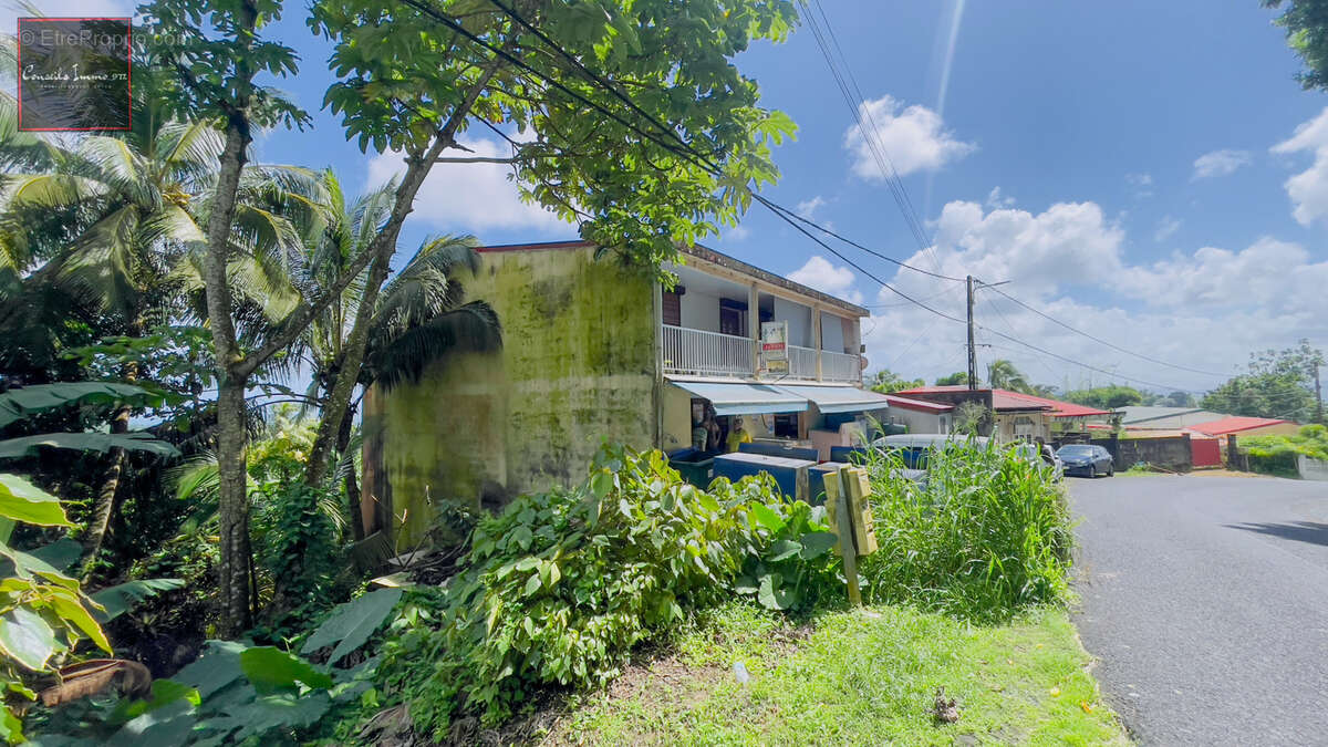 À vendre : Immeuble de rapport loué - Gros-Morne - photo 3