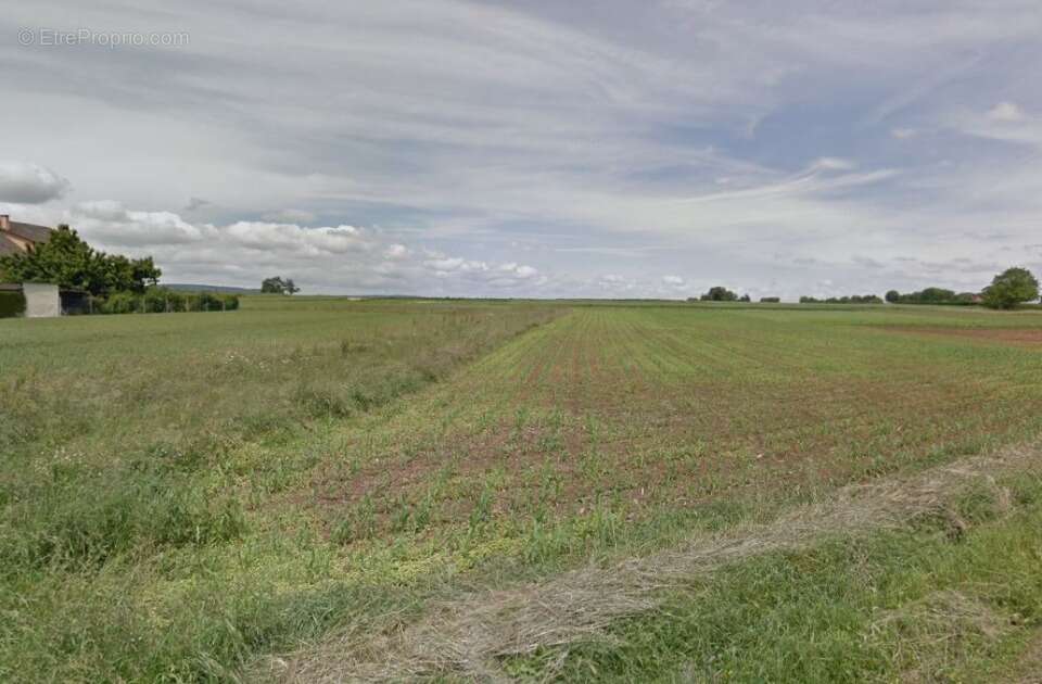 Terrain à SURBOURG