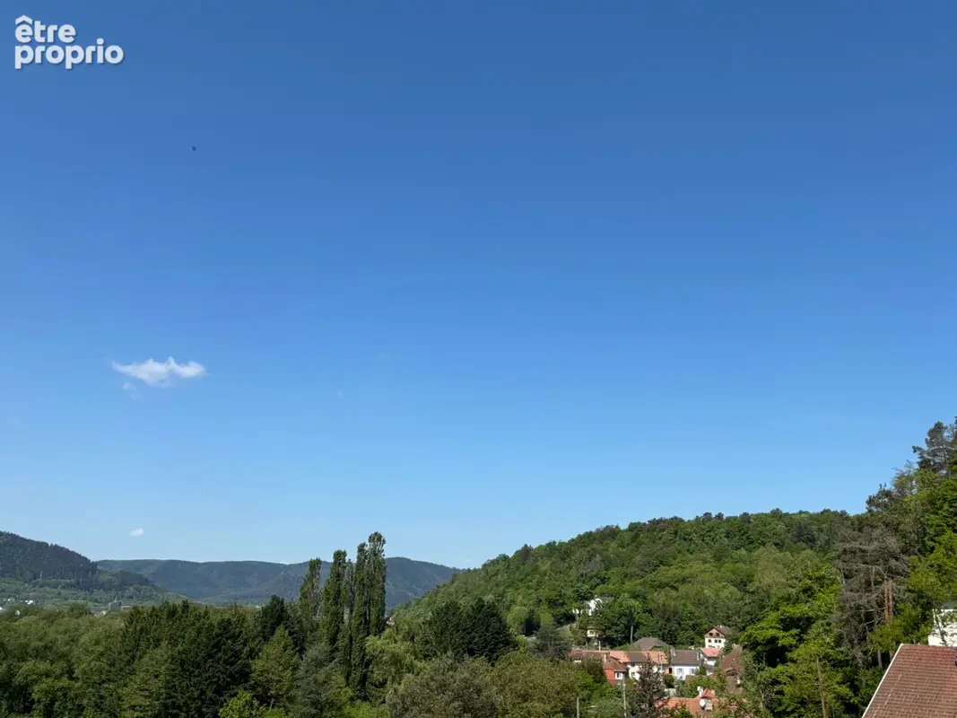Terrain Saint Die Des Vosges 1328 m2 - photo 2