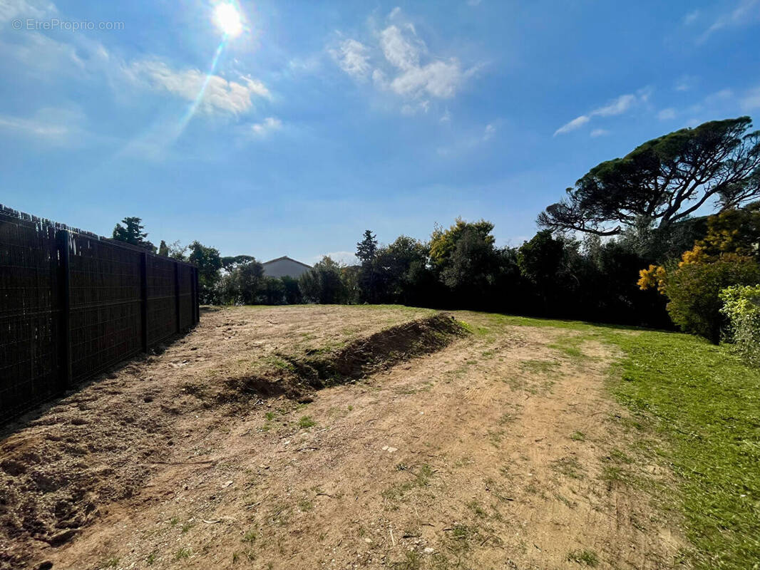 Terrain à LES ISSAMBRES