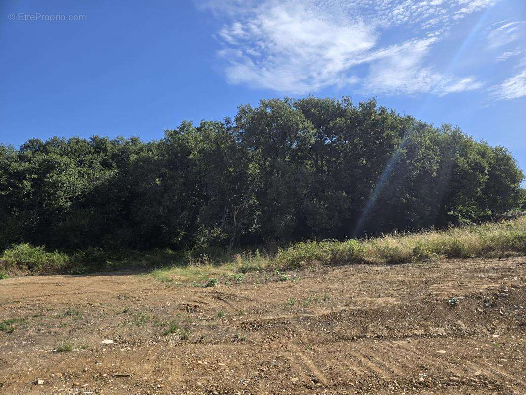 Terrain à SEREZIN-DU-RHONE