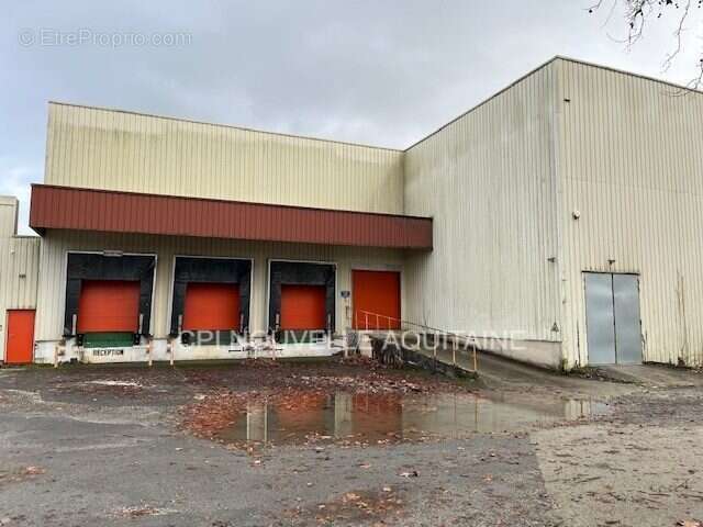 Commerce à LA COURONNE