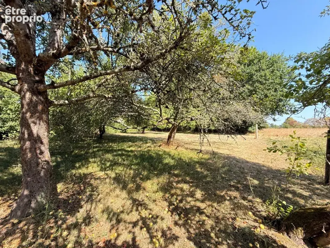 Charmante maison en pierre, 115m², 3 chambres, 1175 m² de terrain 89 900 € - photo 46