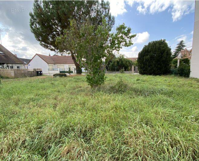 Terrain à LA FERTE-SAINT-AUBIN