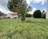 Terrain à LA FERTE-SAINT-AUBIN