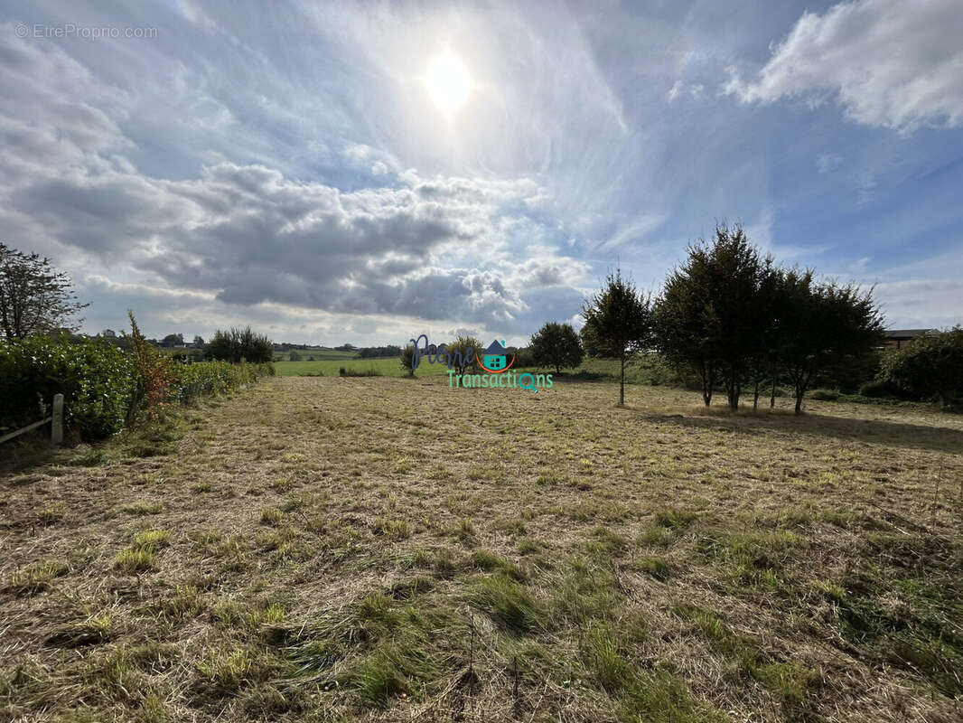 Terrain à SAINT-NICOLAS-DE-LA-TAILLE