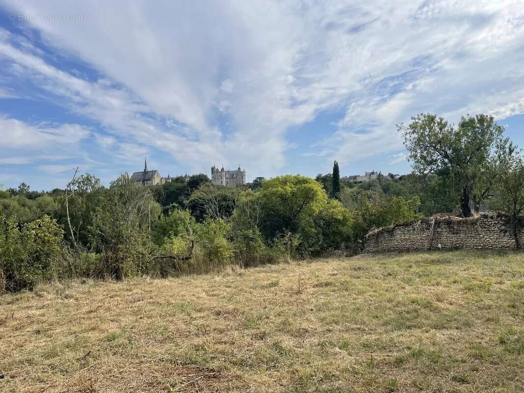 Terrain a batir montreuil-bellay avec superbe vue - photo 5