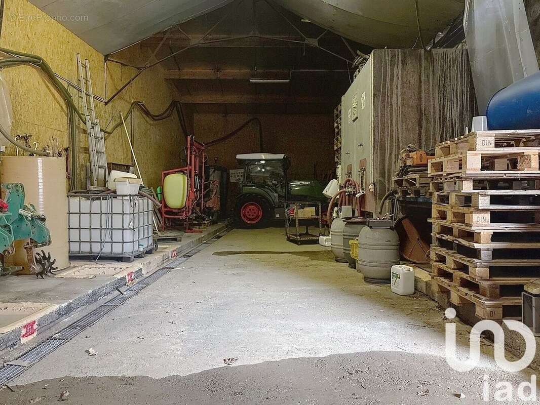 Photo 8 - Maison à BEAULIEU-SUR-LAYON