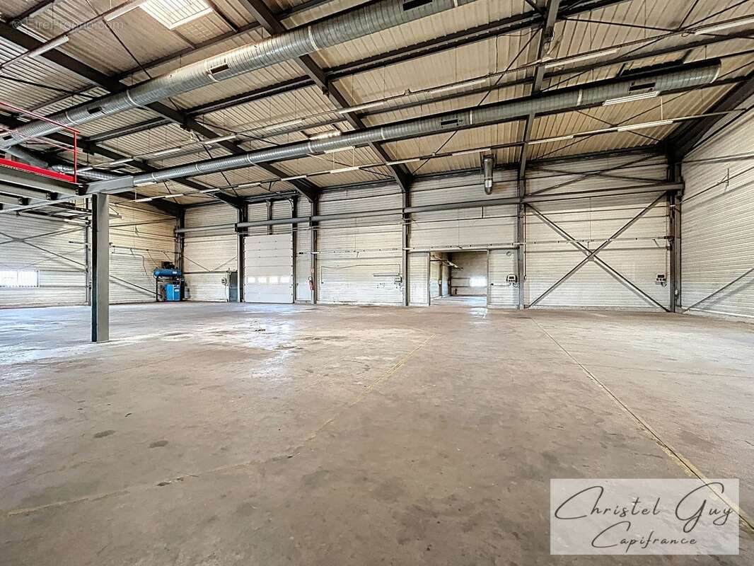 Local/bureau/Entrepôt à vendre SAINT PATERNE RACAN (37), 30 minutes de Tours - photo 4