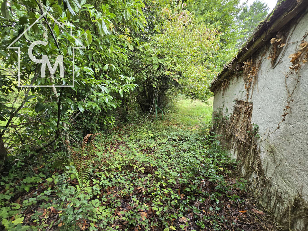 Maison à MANOT