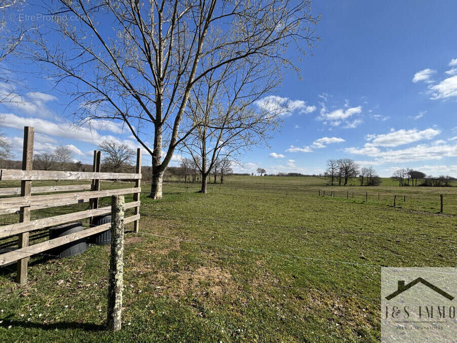 Maison à SAINT-COUTANT
