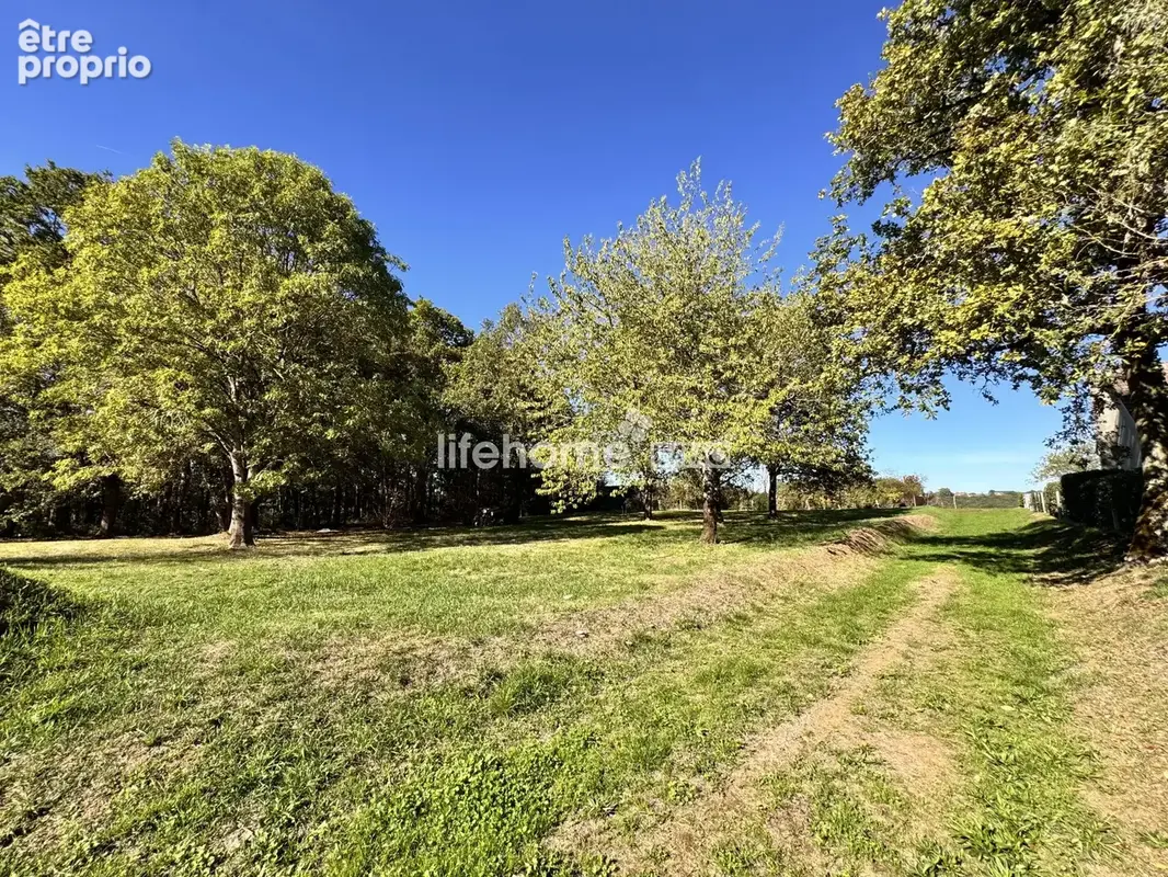 Maison 3 pièces 81 m² à vendre à Montipouret (36230) - photo 2