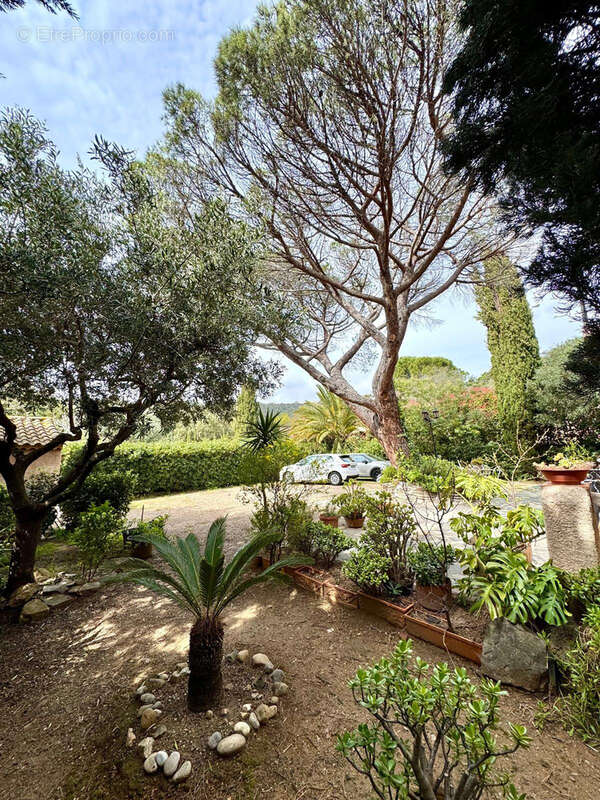 Maison à LA CROIX-VALMER