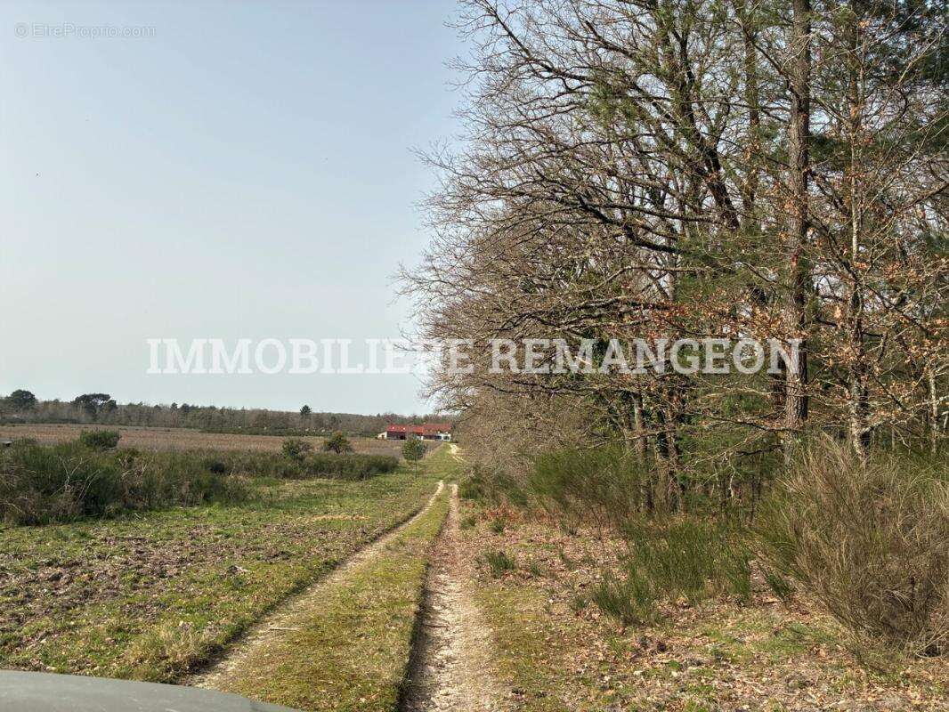 Maison à LAMOTTE-BEUVRON