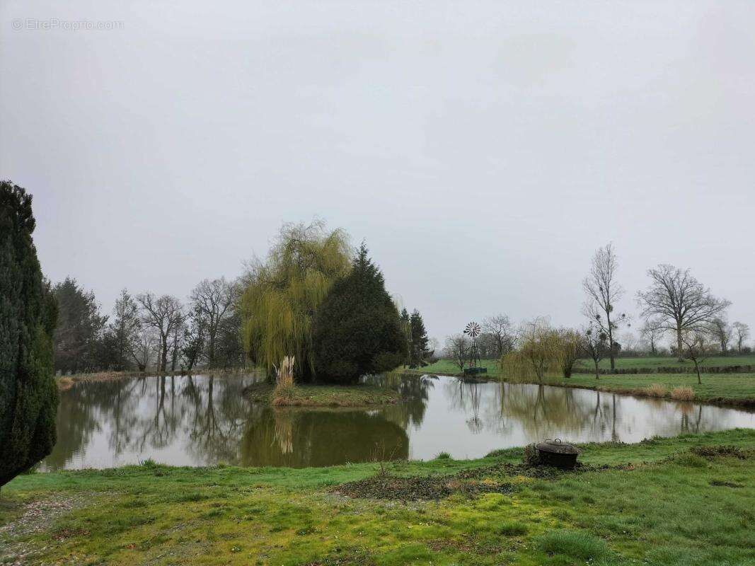 Terrain à SAINT-CYR-EN-PAIL