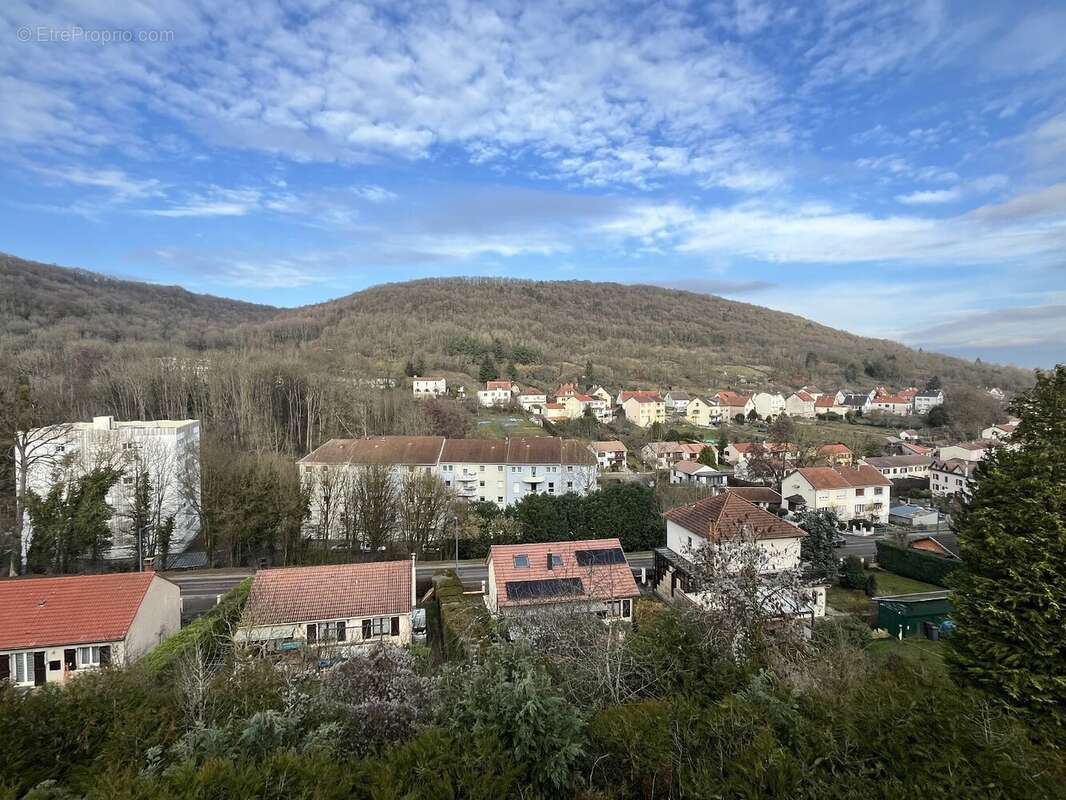Appartement à ARS-SUR-MOSELLE