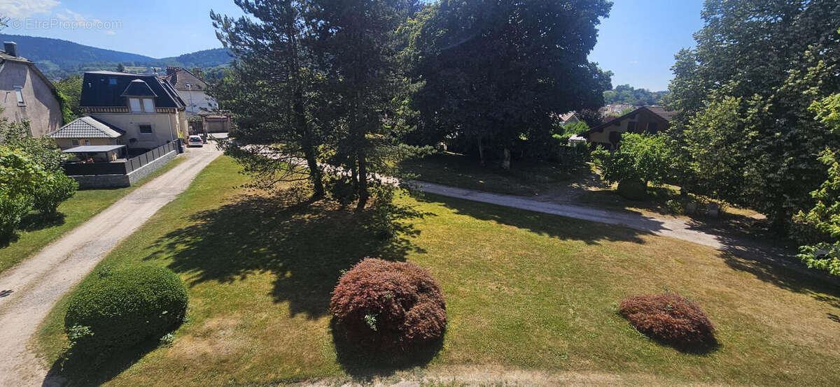 Exclu REMIREMONT – Appartement de caractère à rénover de 209 m²  avec jardin privatif+ 2 stationnements +  caves - photo 2