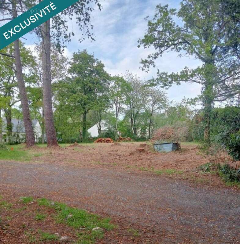 Photo 6 - Terrain à LA GRIGONNAIS