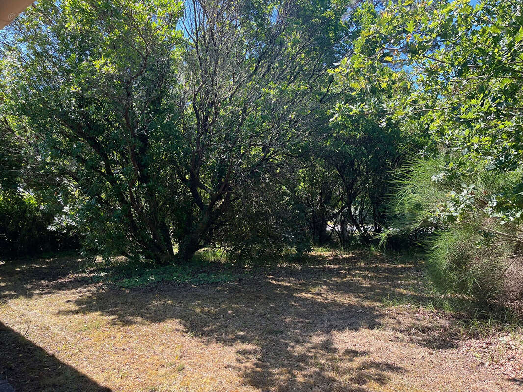 Maison à LEGE-CAP-FERRET