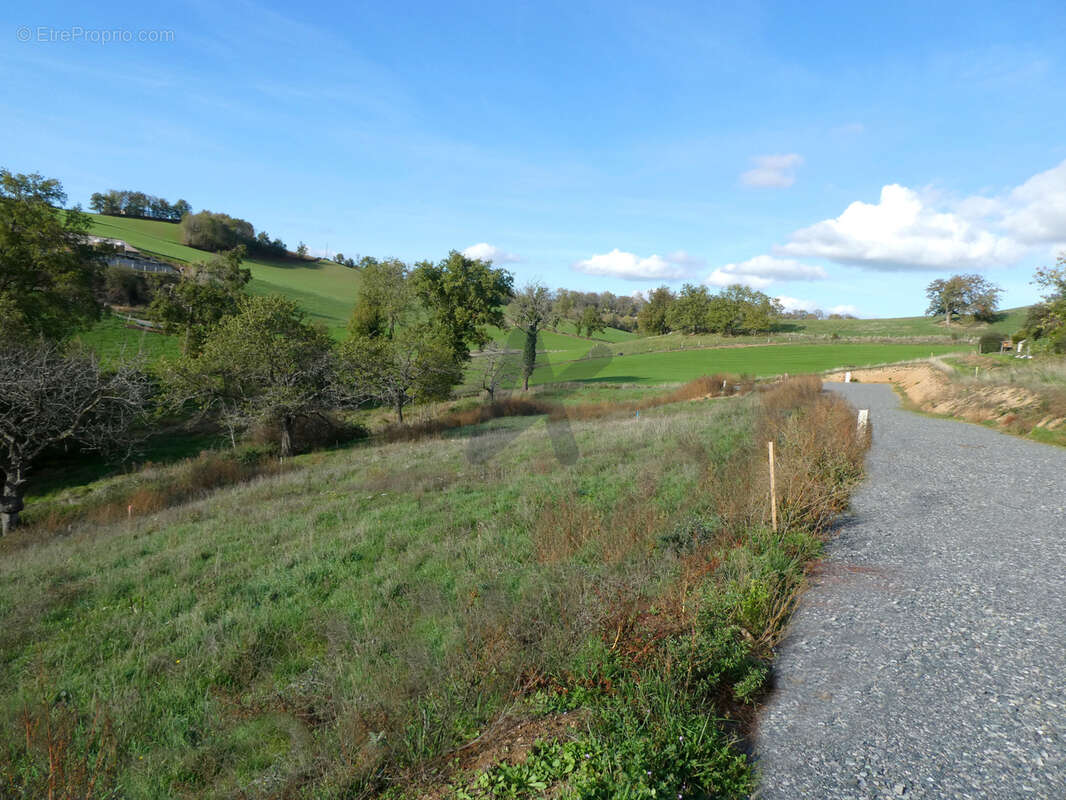 Terrain à SAINT-LAURENT-DE-CHAMOUSSET