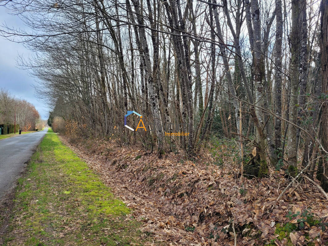 Terrain à PRESLY