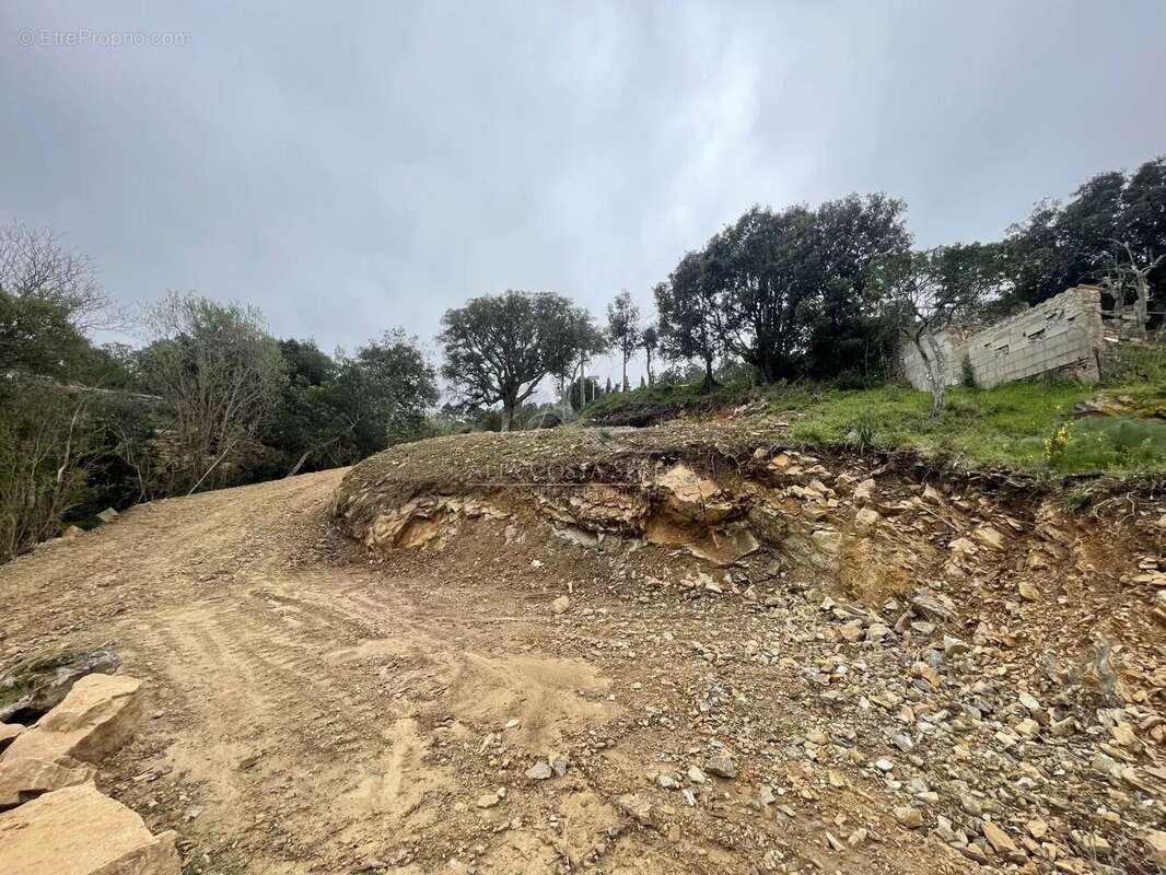 Terrain à SARI-SOLENZARA