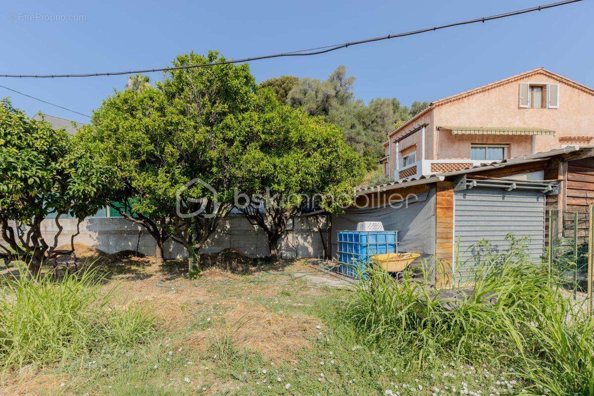Menton - Val de Gorbio : Propriété vue mer sur terrain de 2 498 m² - photo 26