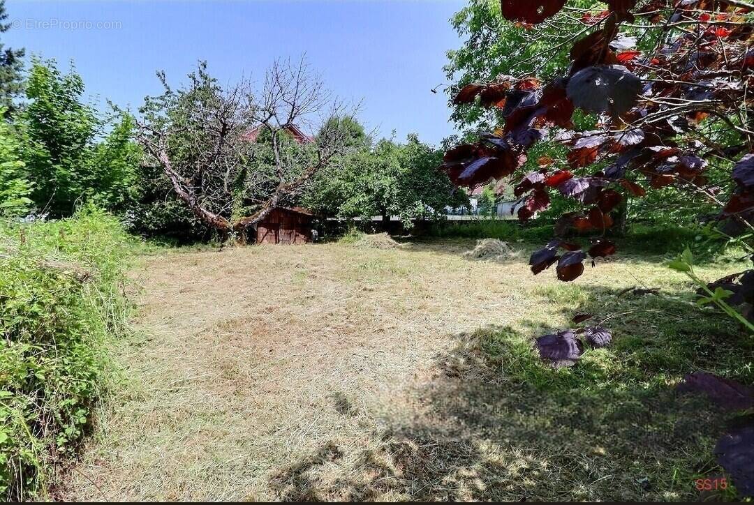 Terrain à PERRIGNIER