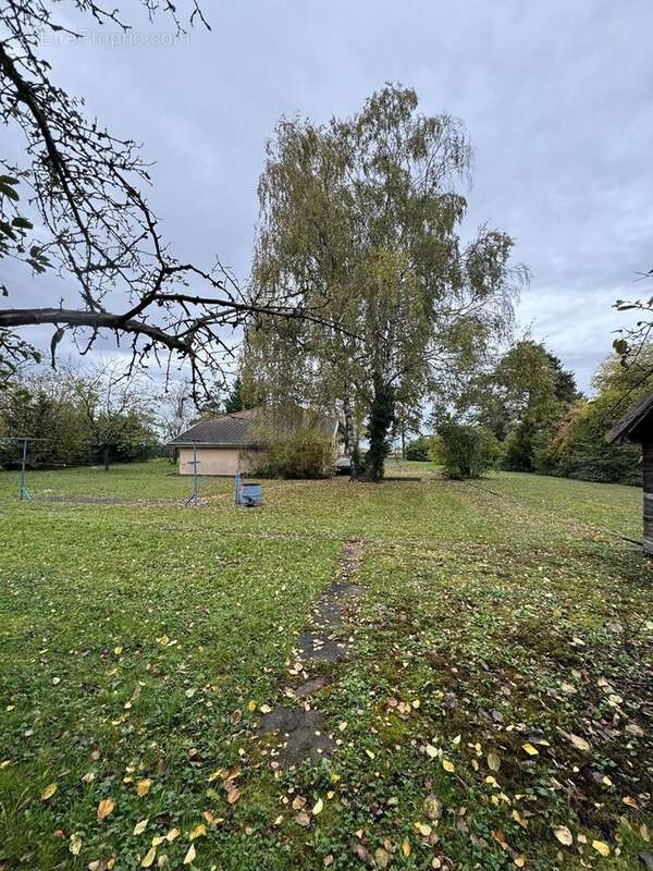 Maison à VOLGELSHEIM