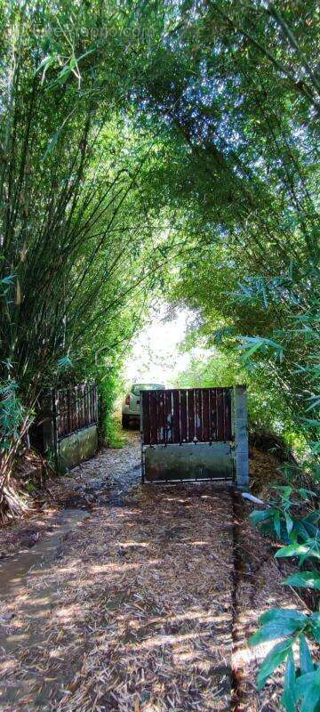Maison à SAINT-DENIS
