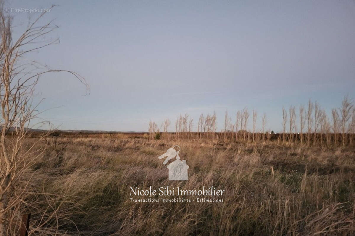 Terrain à ESPIRA-DE-L'AGLY