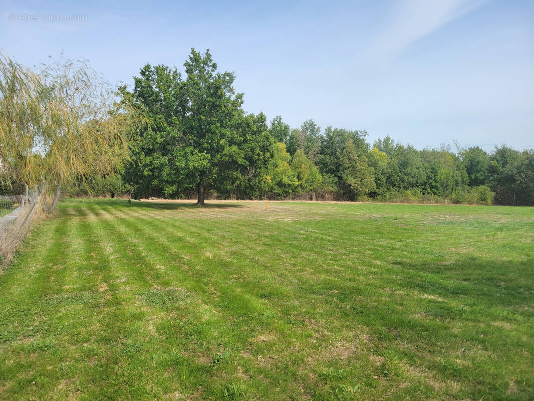 Terrain à VIVIERS-LES-MONTAGNES