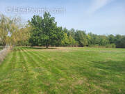 Terrain à VIVIERS-LES-MONTAGNES