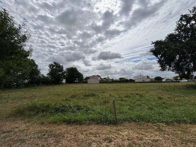 Terrain à bâtir de 393 m² à MEDIS (17) - photo 3