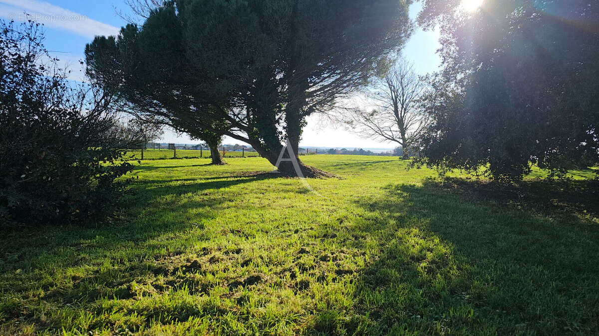 Maison à PORT-DES-BARQUES