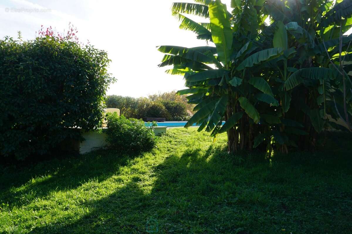 Maison à SAINT-JORY-DE-CHALAIS