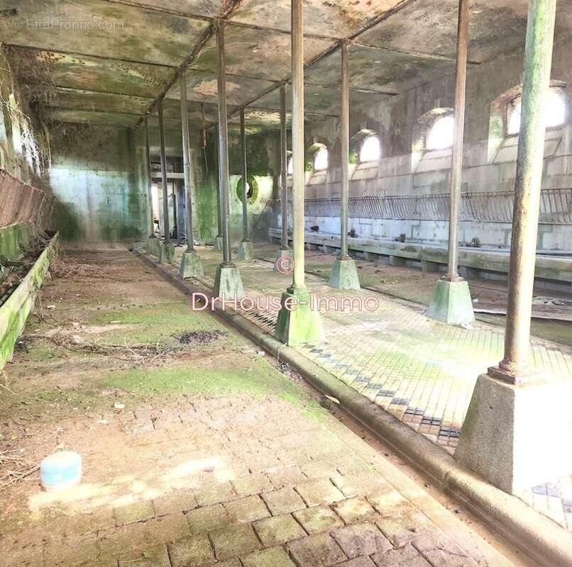 Maison à LOUVIGNE-DU-DESERT