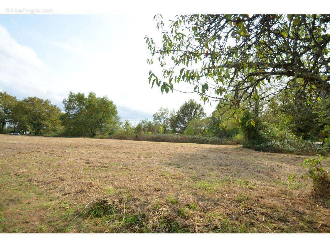 Terrain à PORCHERES