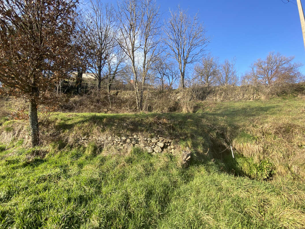 Terrain à VILLEVOCANCE