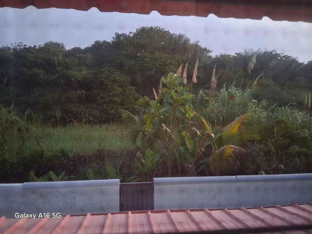 Photo 2 - Maison à MACOURIA