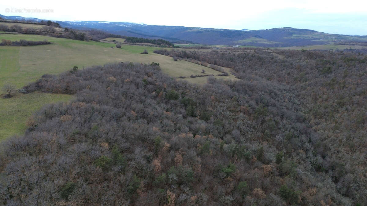 Terrain à AURIAC-L'EGLISE