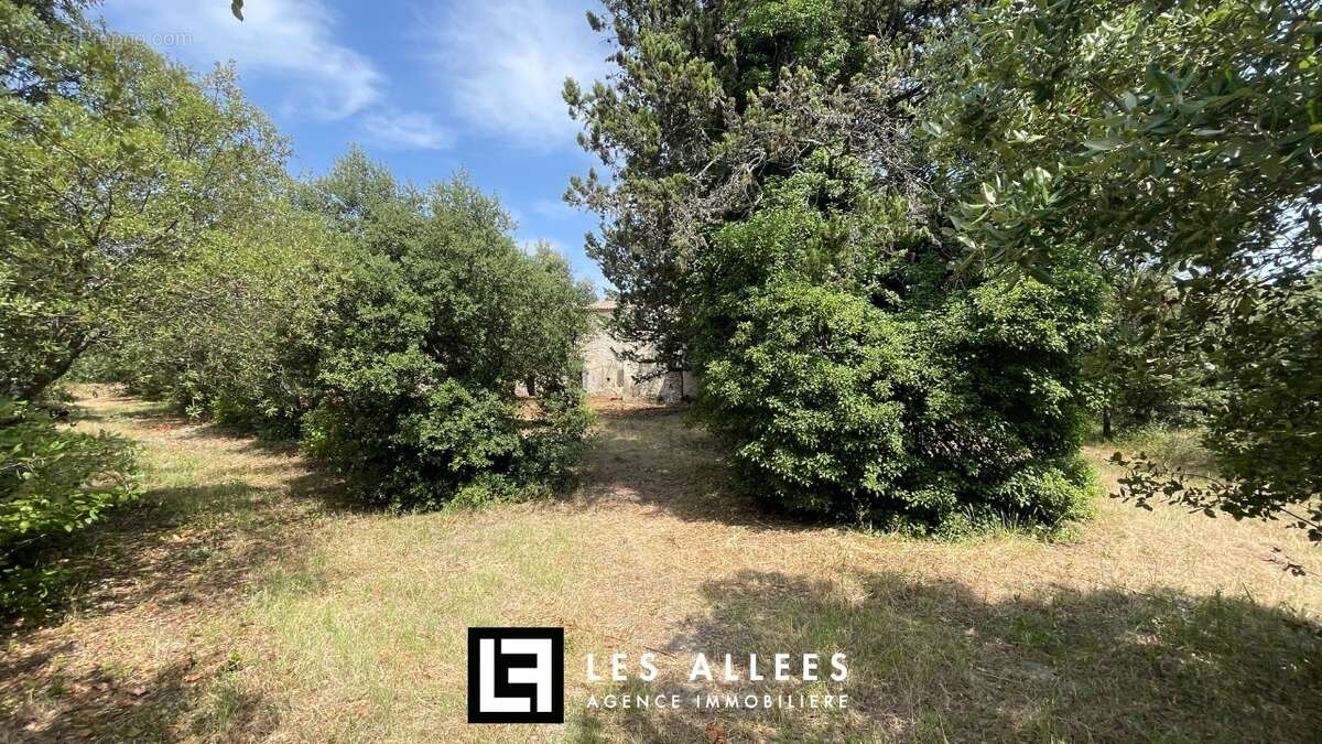 Maison à MONTSEGUR-SUR-LAUZON