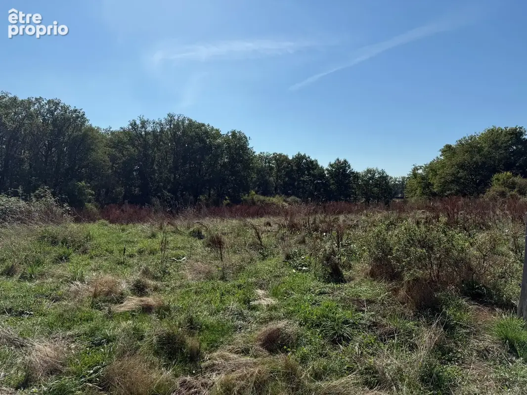 Auv 1210 : Magnifique projet : corps de ferme à rénover, plus de 28ha - photo 19