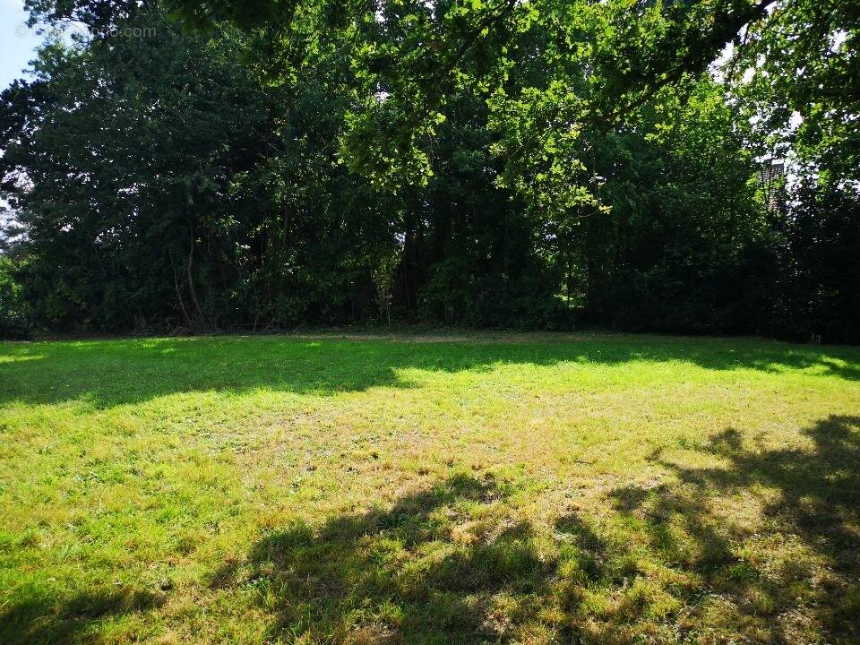 Terrain à BOIS-D'ARCY