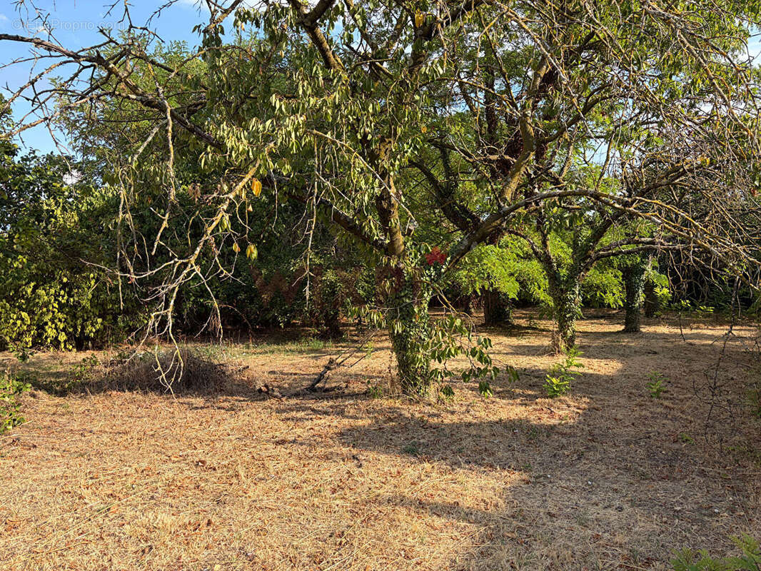 Terrain constructible 600 m² - photo 4