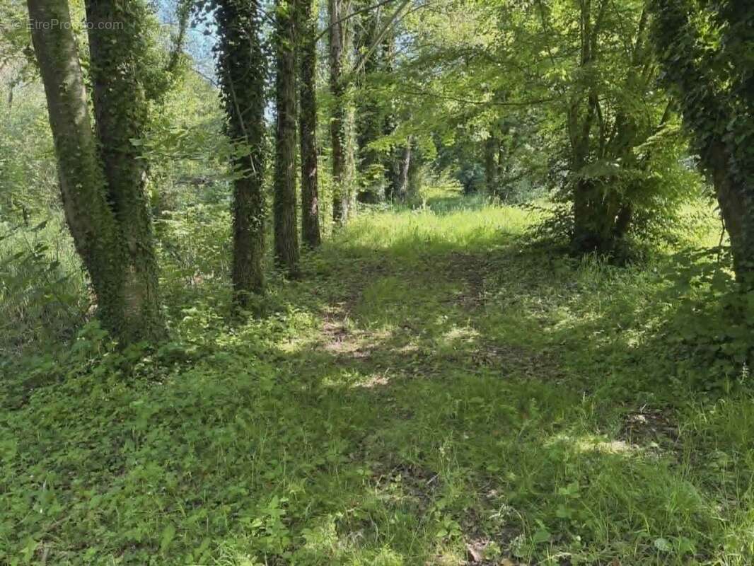 Terrain à CAMBRON