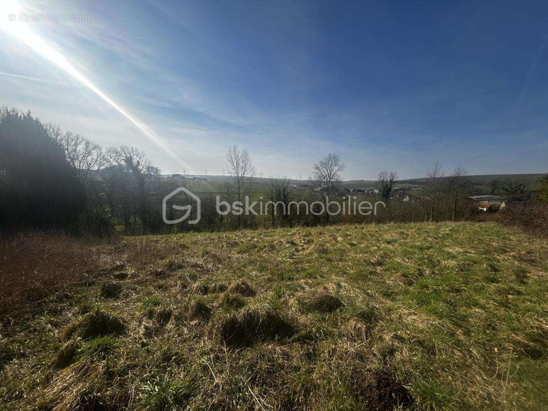 Opportunité rare : Grand terrain constructible au cœur d'un environnement paisible non loin des plages de la Côte d'Opale - photo 3