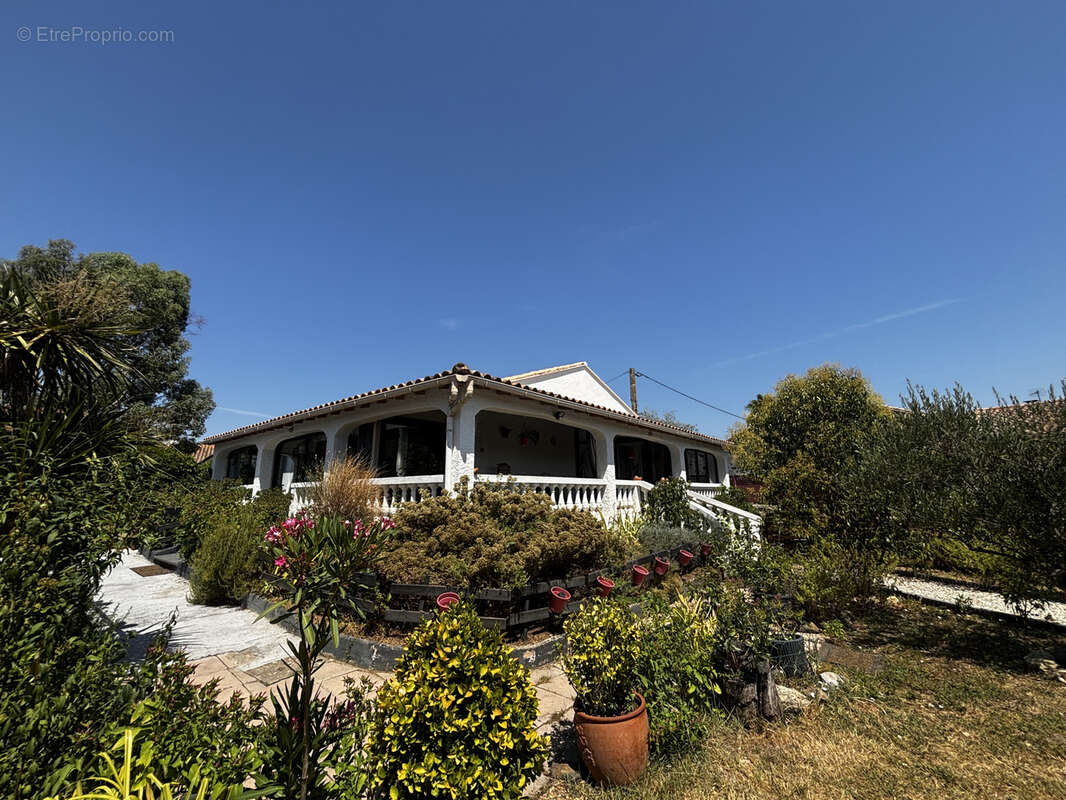 Proche pezenas -  maison independante de plain pied 3 chambres terrain 1345m2 grand terrain clos - photo 26