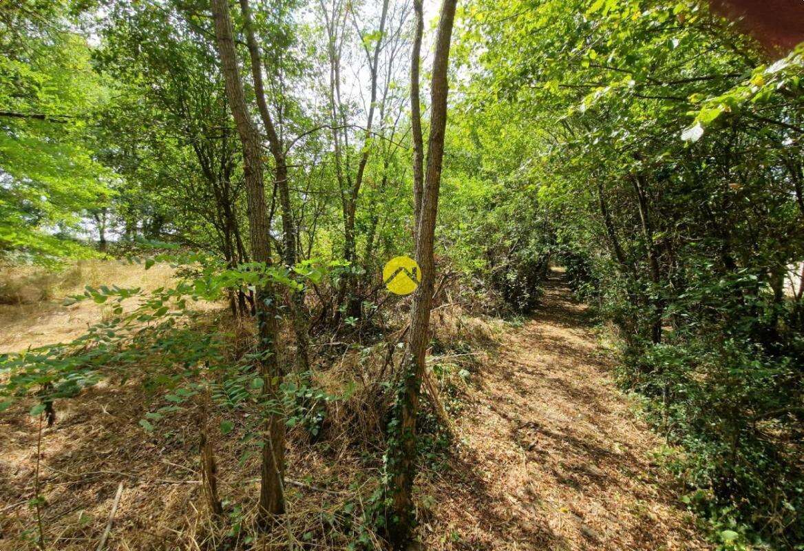Terrain constructible de 2505 m² - photo 3